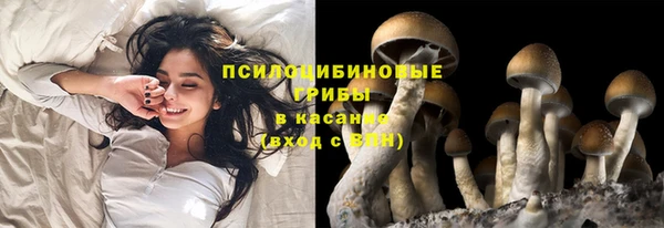 герыч Каменка