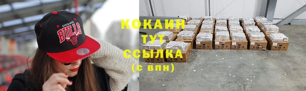 соль ск Касимов