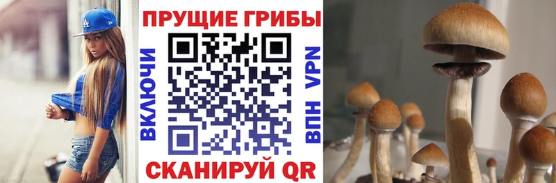 Псилоцибиновые грибы Psilocybine cubensis  купить наркотик  Ефремов 