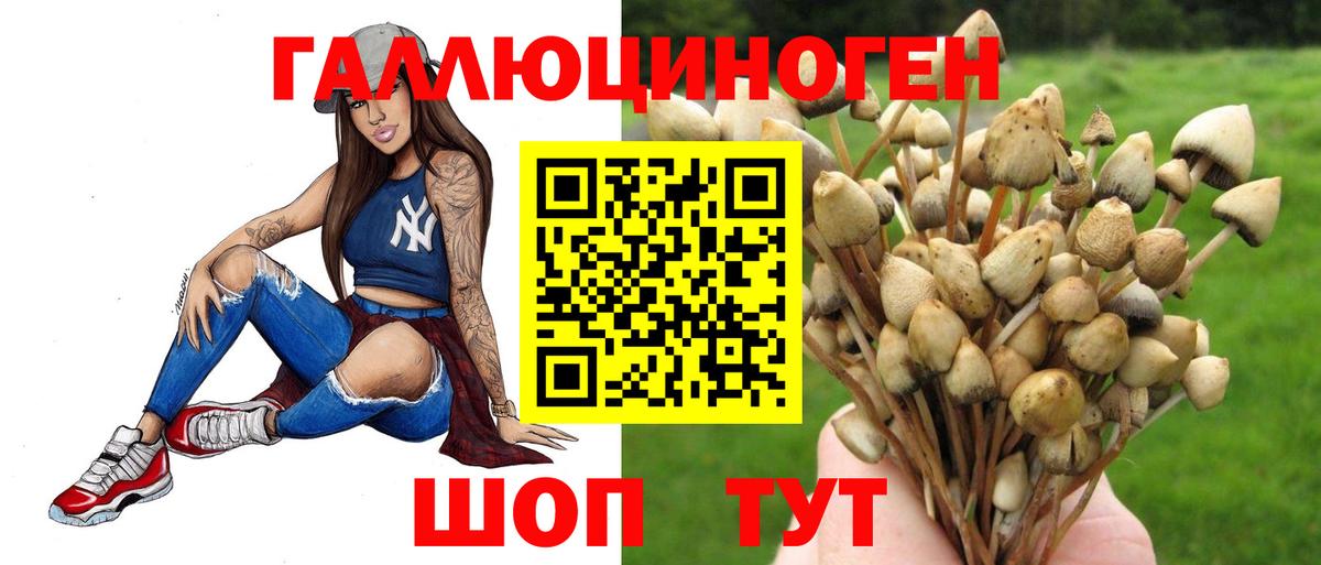 Ефремов  цена   Вход с VPN  Псилоцибиновые грибы мухоморы 